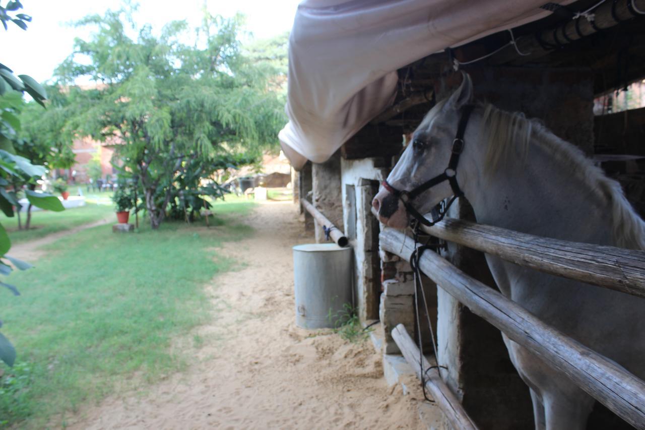 Shannu'S Ranch Inn พุชการ์ ภายนอก รูปภาพ