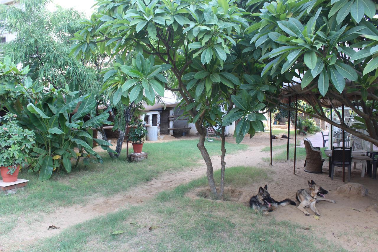 Shannu'S Ranch Inn พุชการ์ ภายนอก รูปภาพ